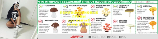 гидра Алексин