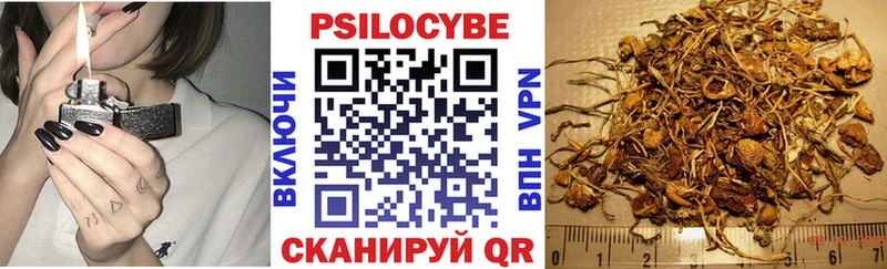 даркнет сайт  Аргун  Псилоцибиновые грибы Cubensis 