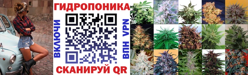 МАРИХУАНА SATIVA & INDICA  Аргун 